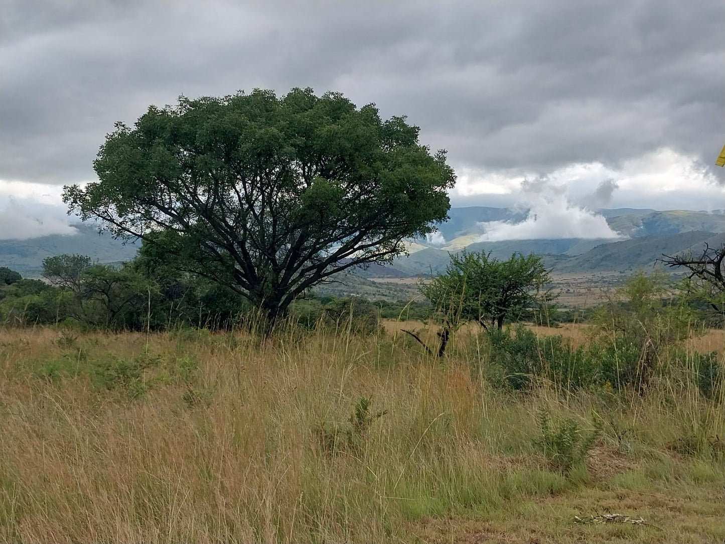  Songimvelo Nature Reserve