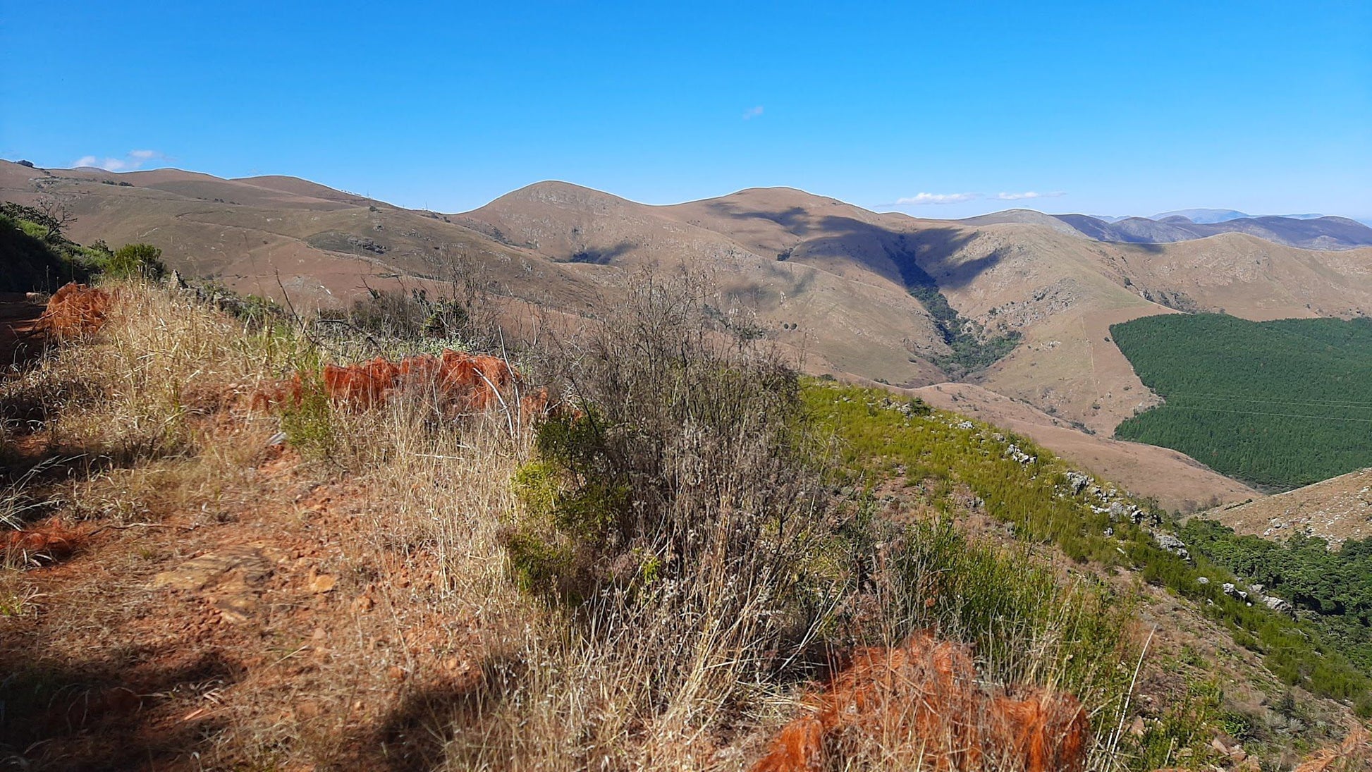  Songimvelo Nature Reserve