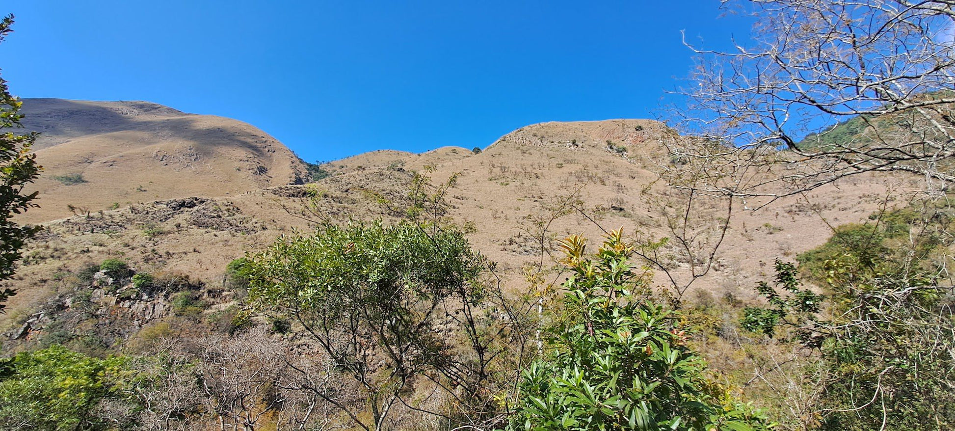  Songimvelo Nature Reserve