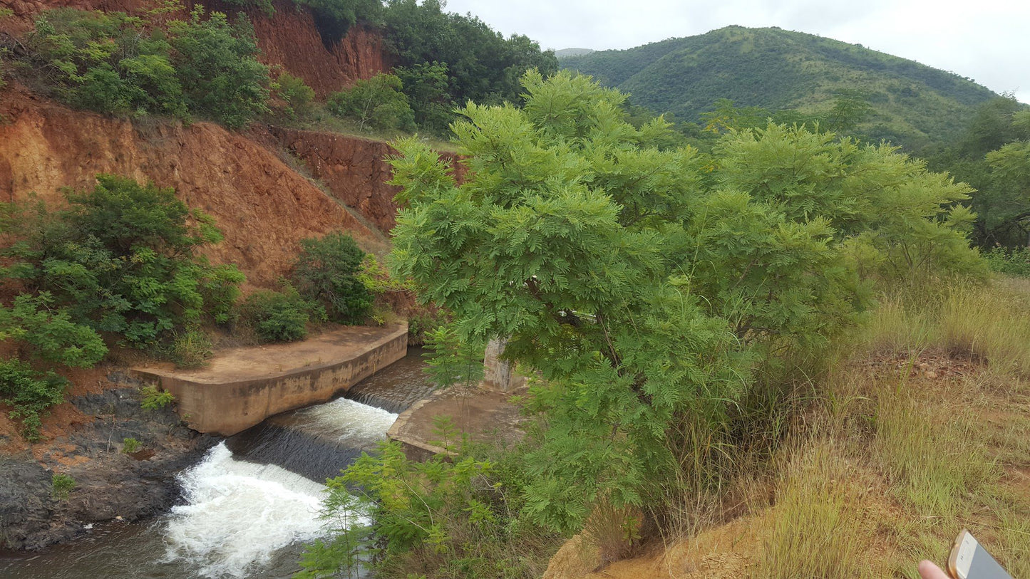  Songimvelo Nature Reserve