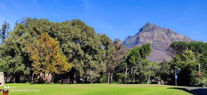  South African Astronomical Observatory