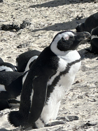  South African National Parks