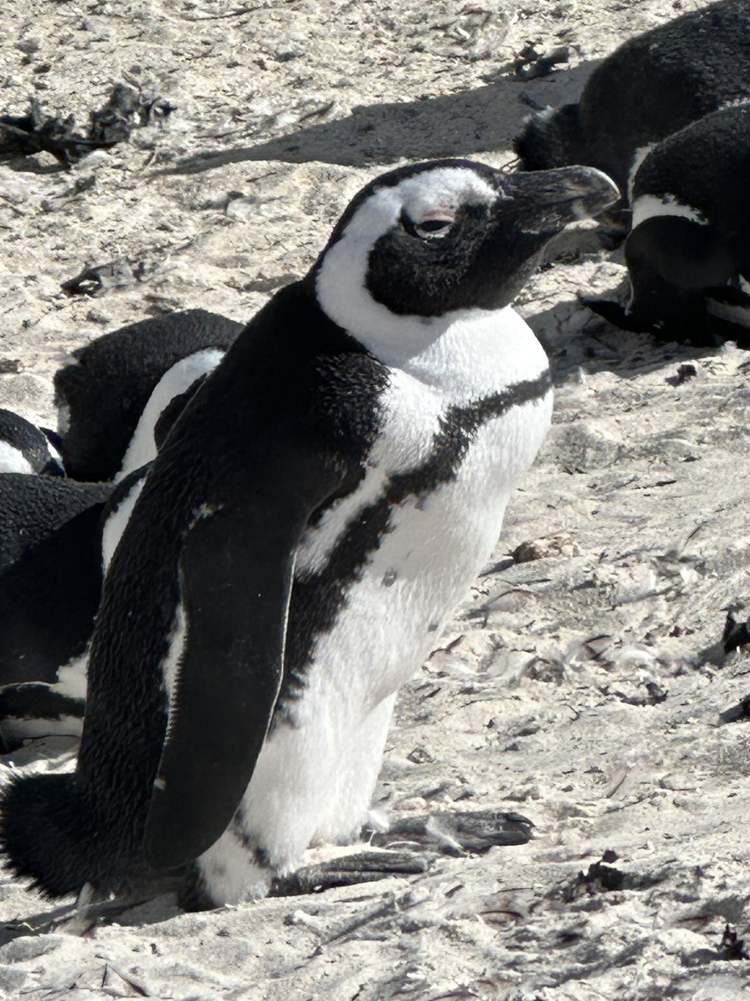  South African National Parks