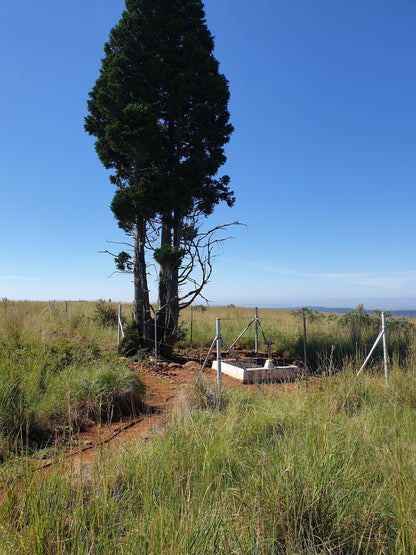  Spioenkop Battlefield