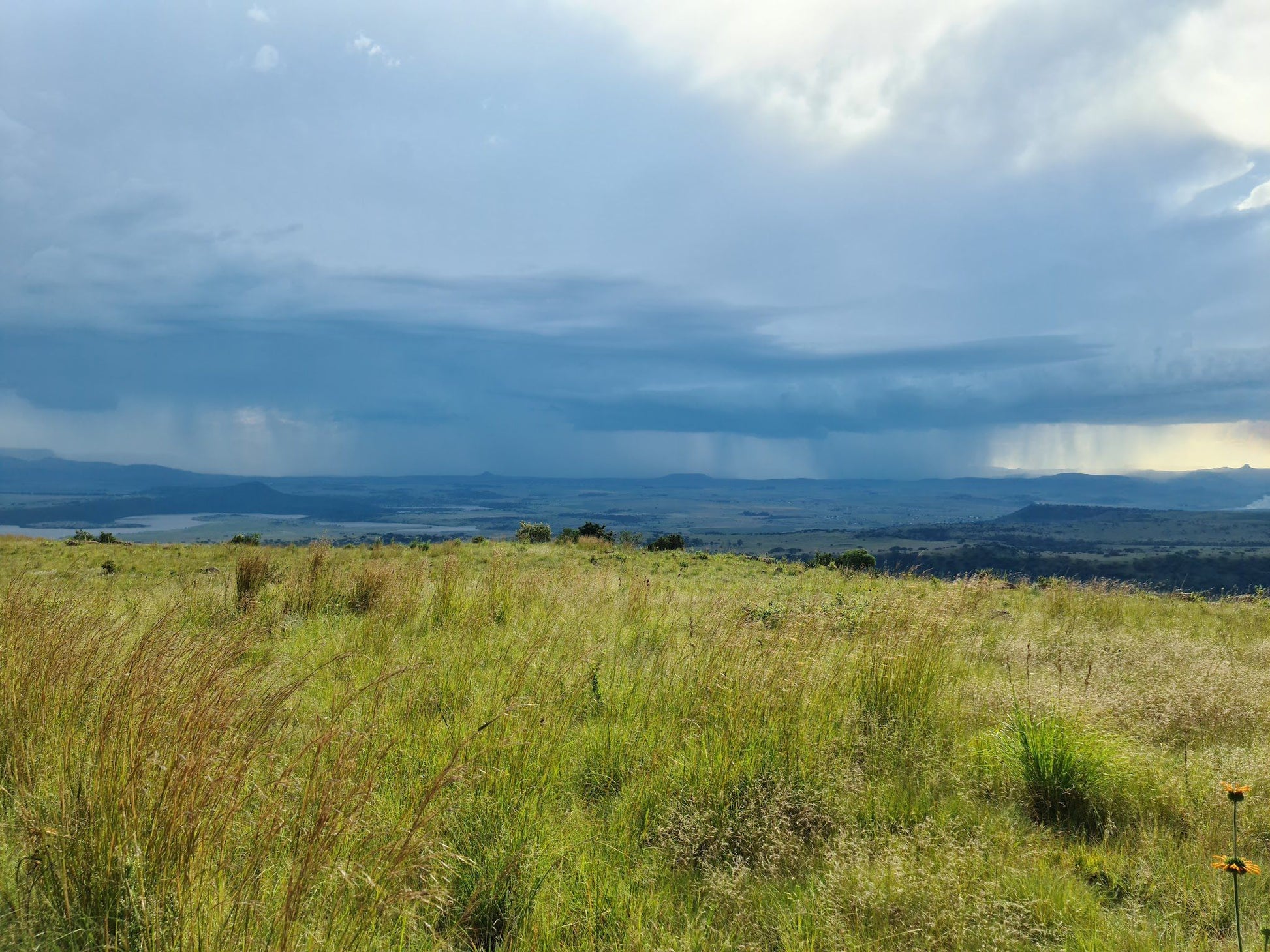  Spioenkop Battlefield