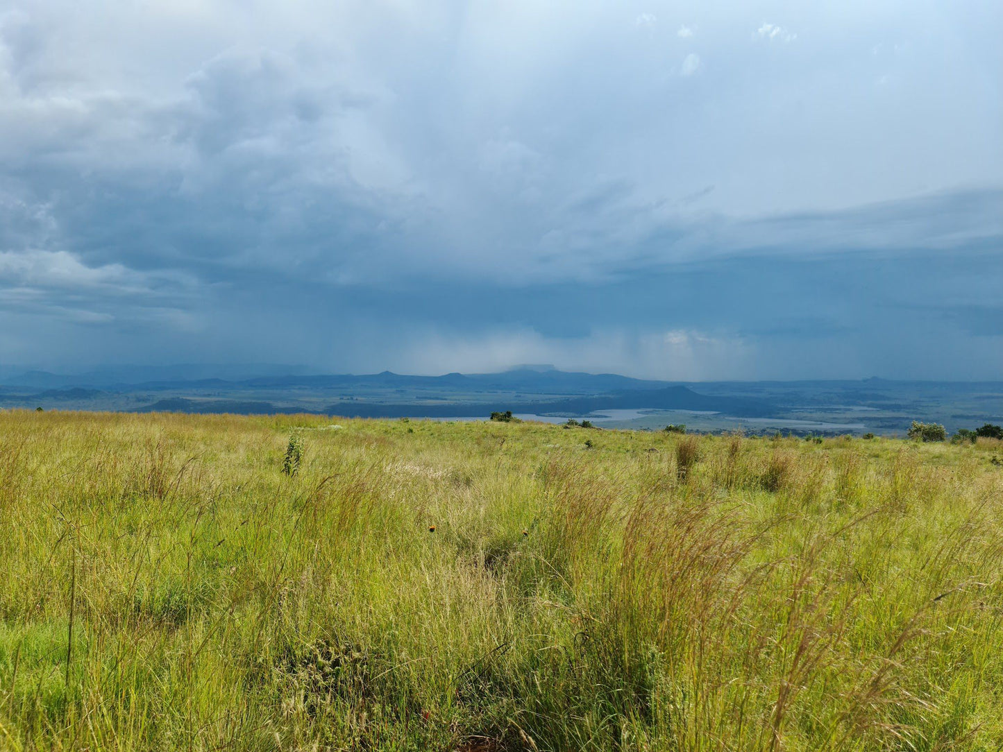  Spioenkop Battlefield