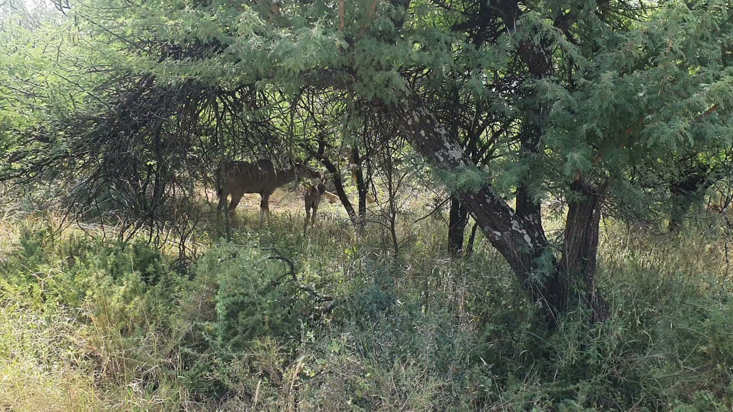  Spioenkop Nature Reserve