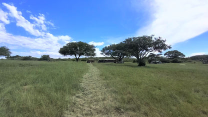  Spioenkop Nature Reserve