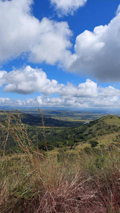  Spioenkop Nature Reserve