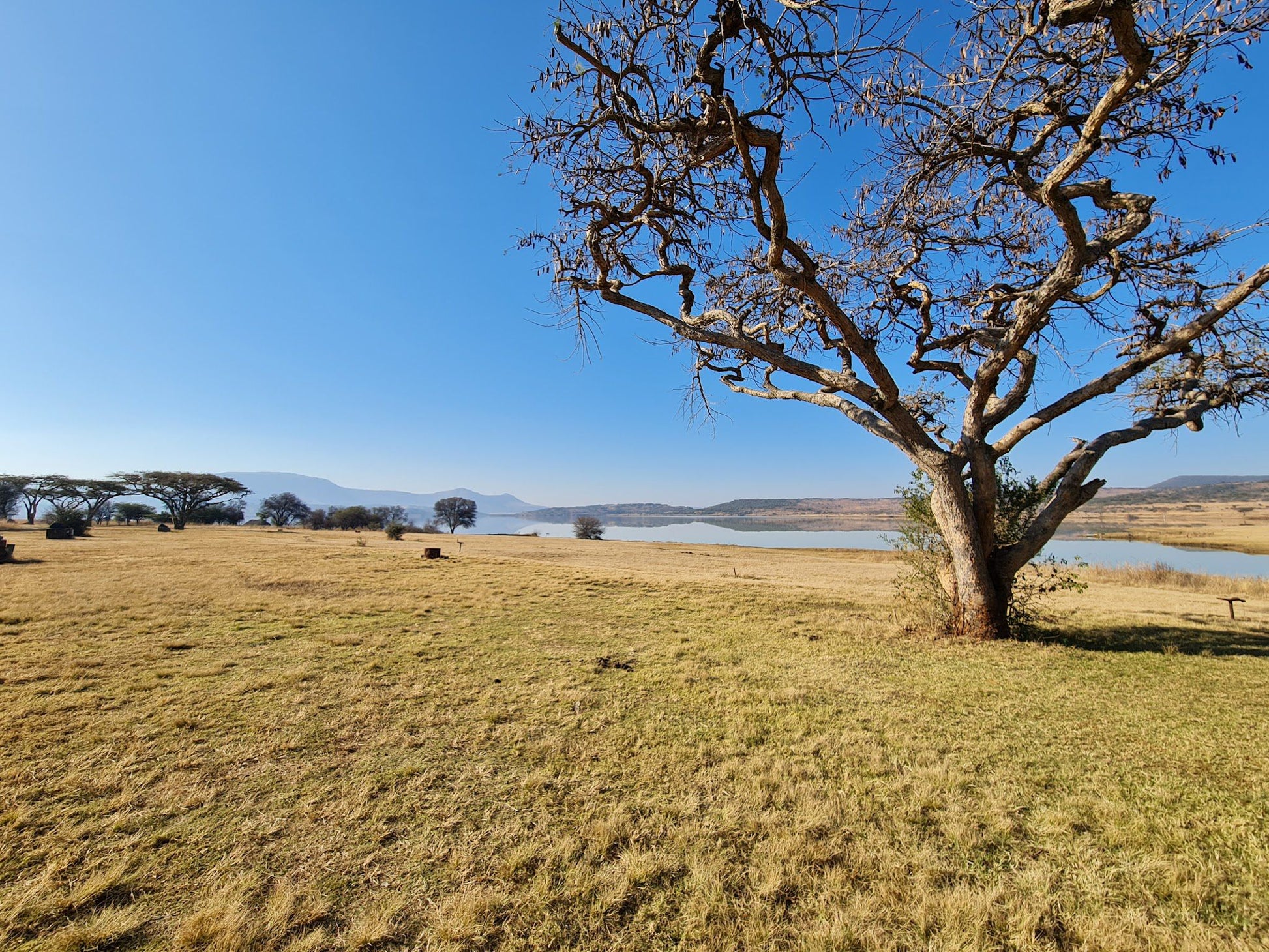  Spioenkop Nature Reserve