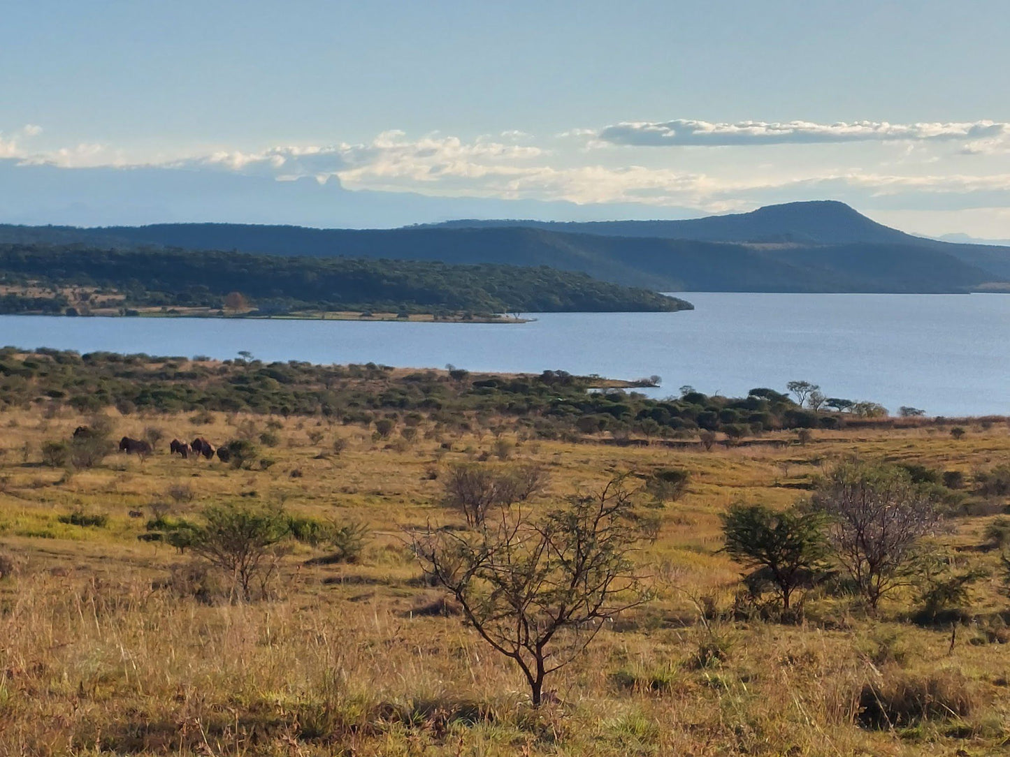  Spioenkop Nature Reserve