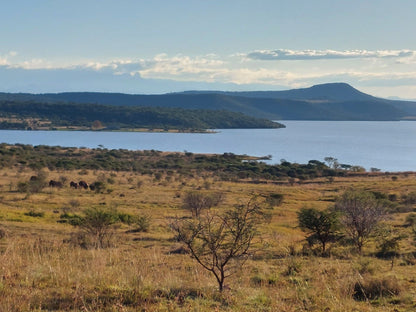  Spioenkop Nature Reserve