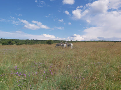  Spioenkop Nature Reserve