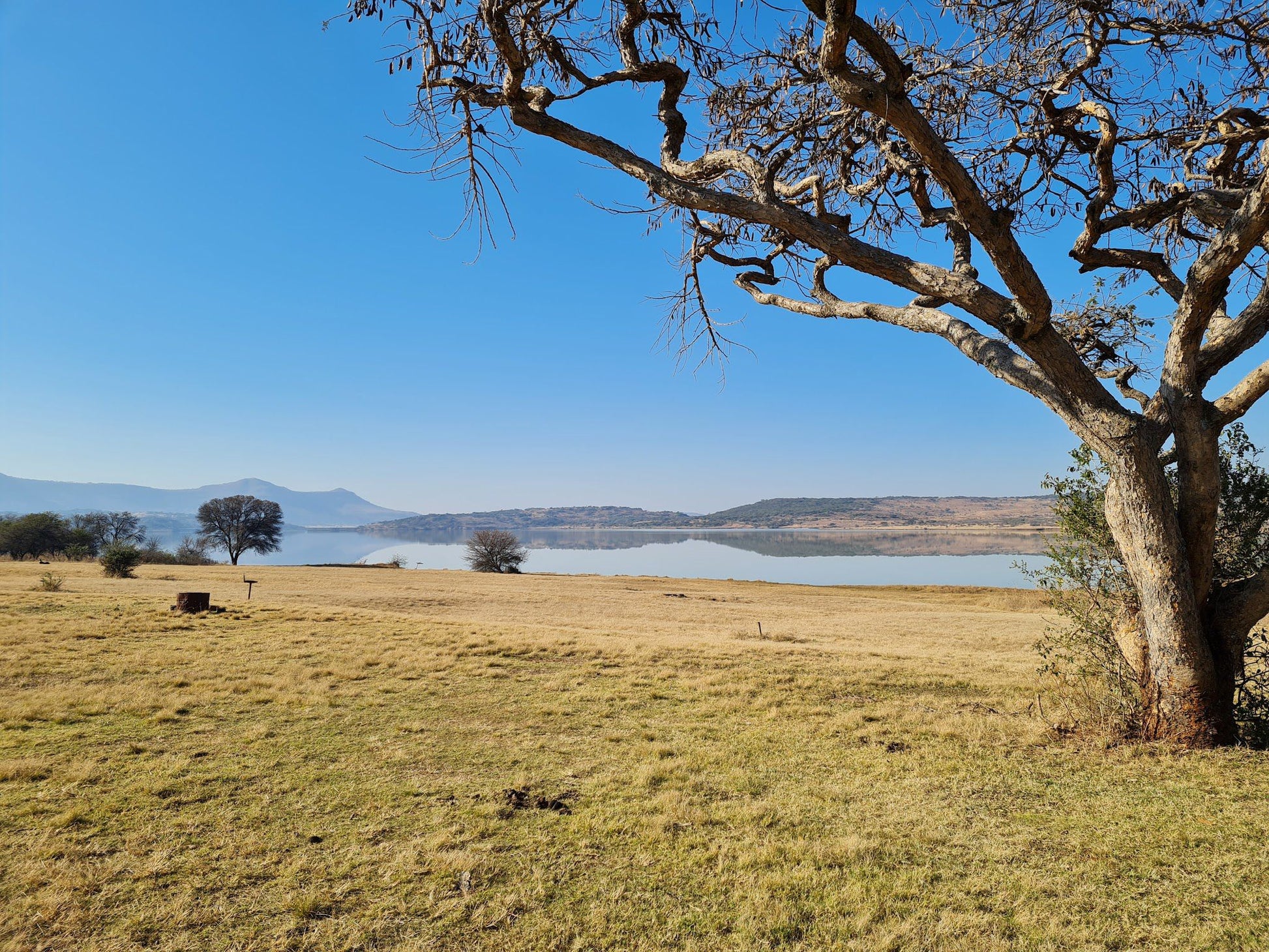  Spioenkop Nature Reserve