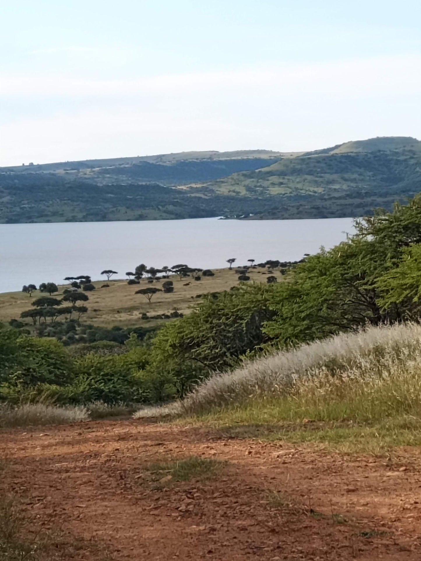  Spioenkop Nature Reserve