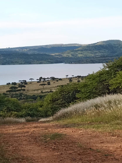  Spioenkop Nature Reserve