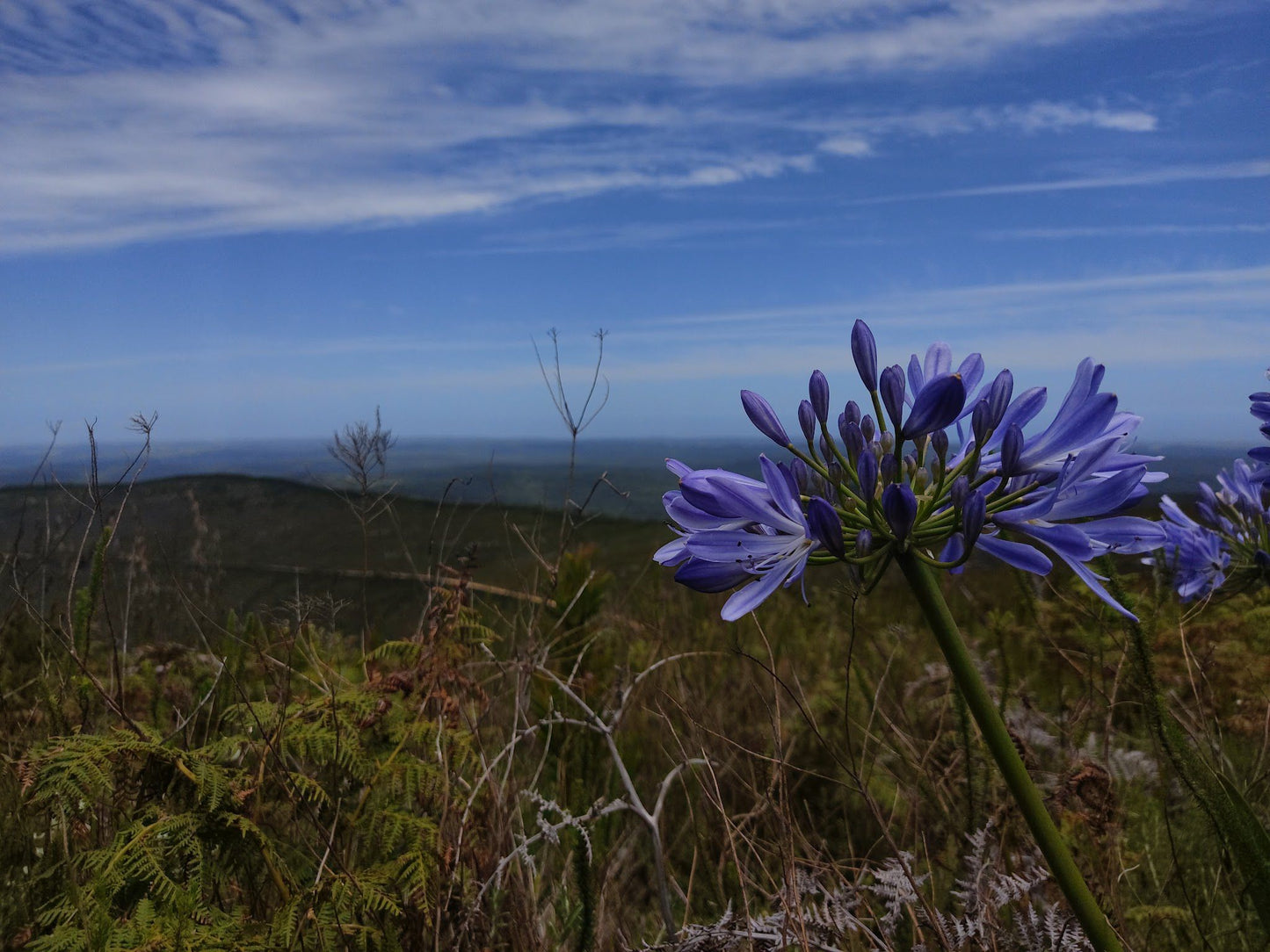  Spitzkop Viewpoint