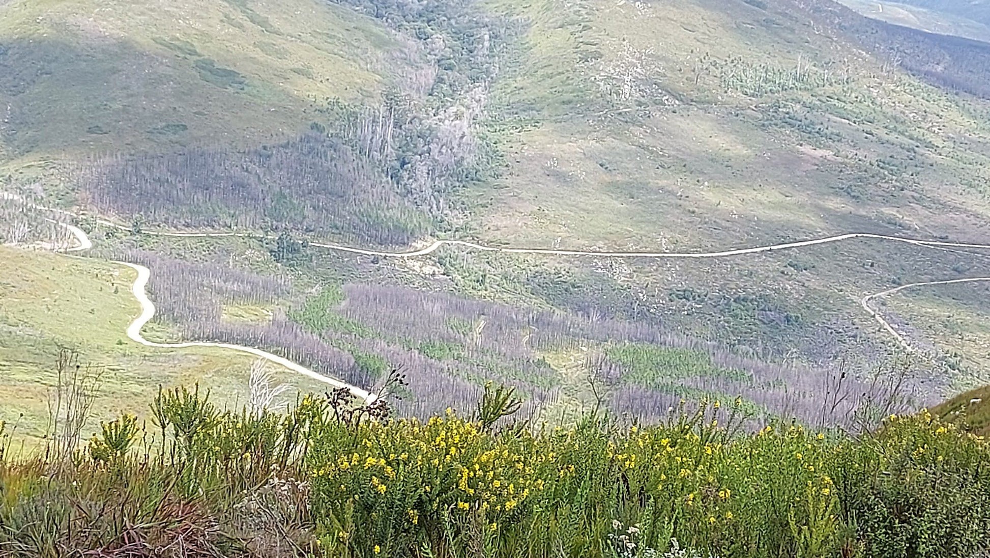  Spitzkop Viewpoint