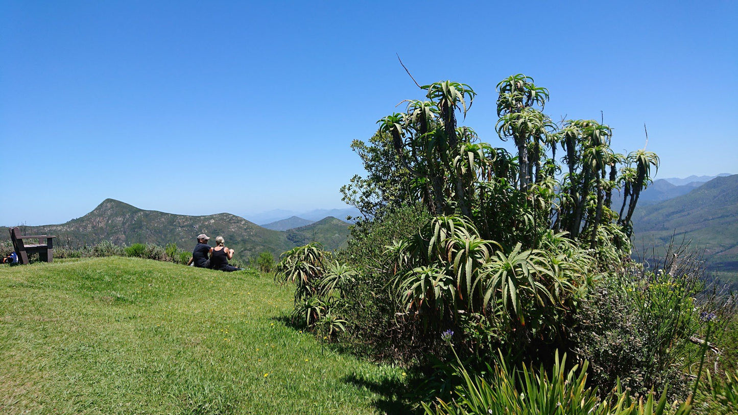  Spitzkop Viewpoint