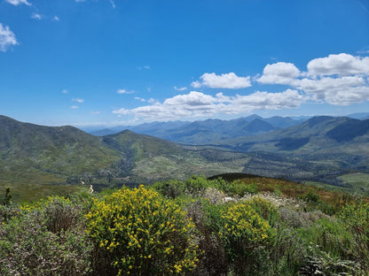  Spitzkop Viewpoint