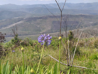  Spitzkop Viewpoint