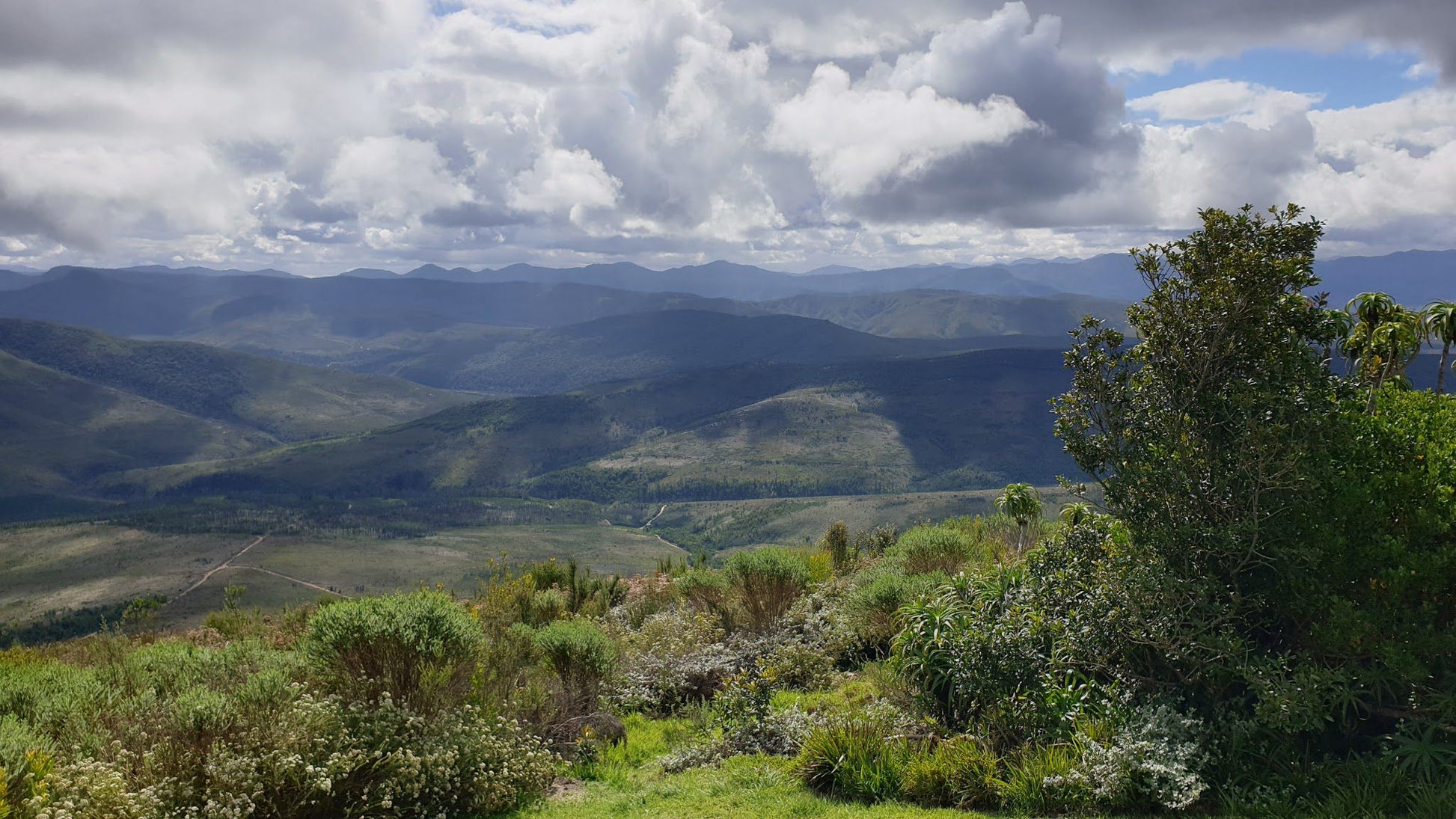  Spitzkop Viewpoint