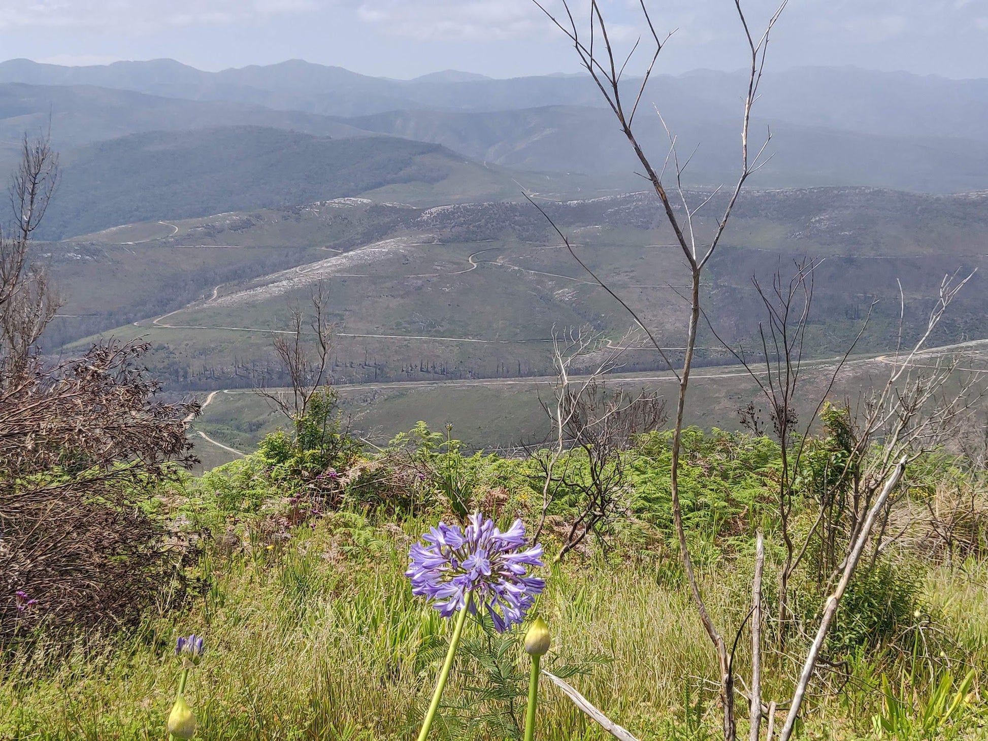  Spitzkop Viewpoint