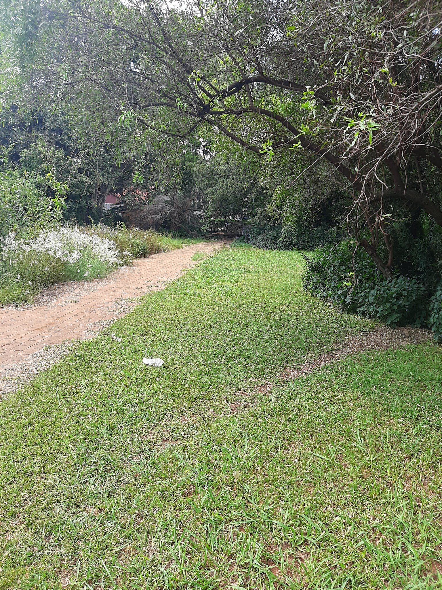  Springbok Park