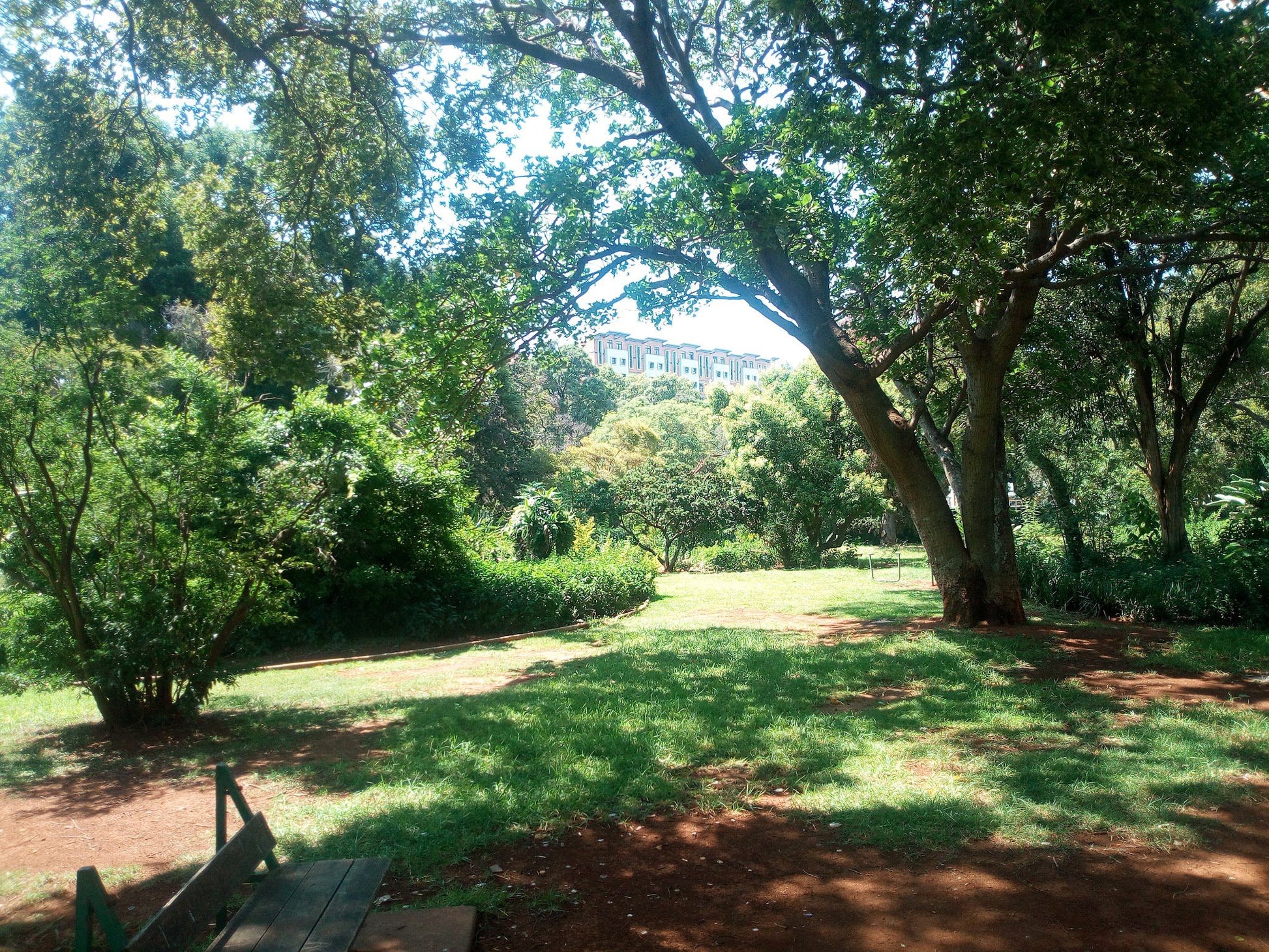  Springbok Park