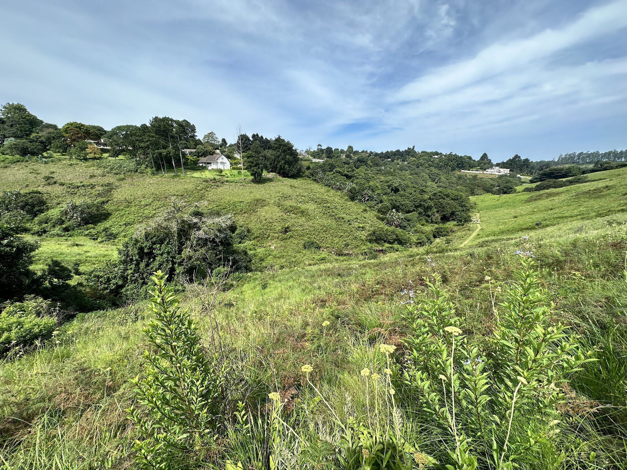  Springside Nature Reserve