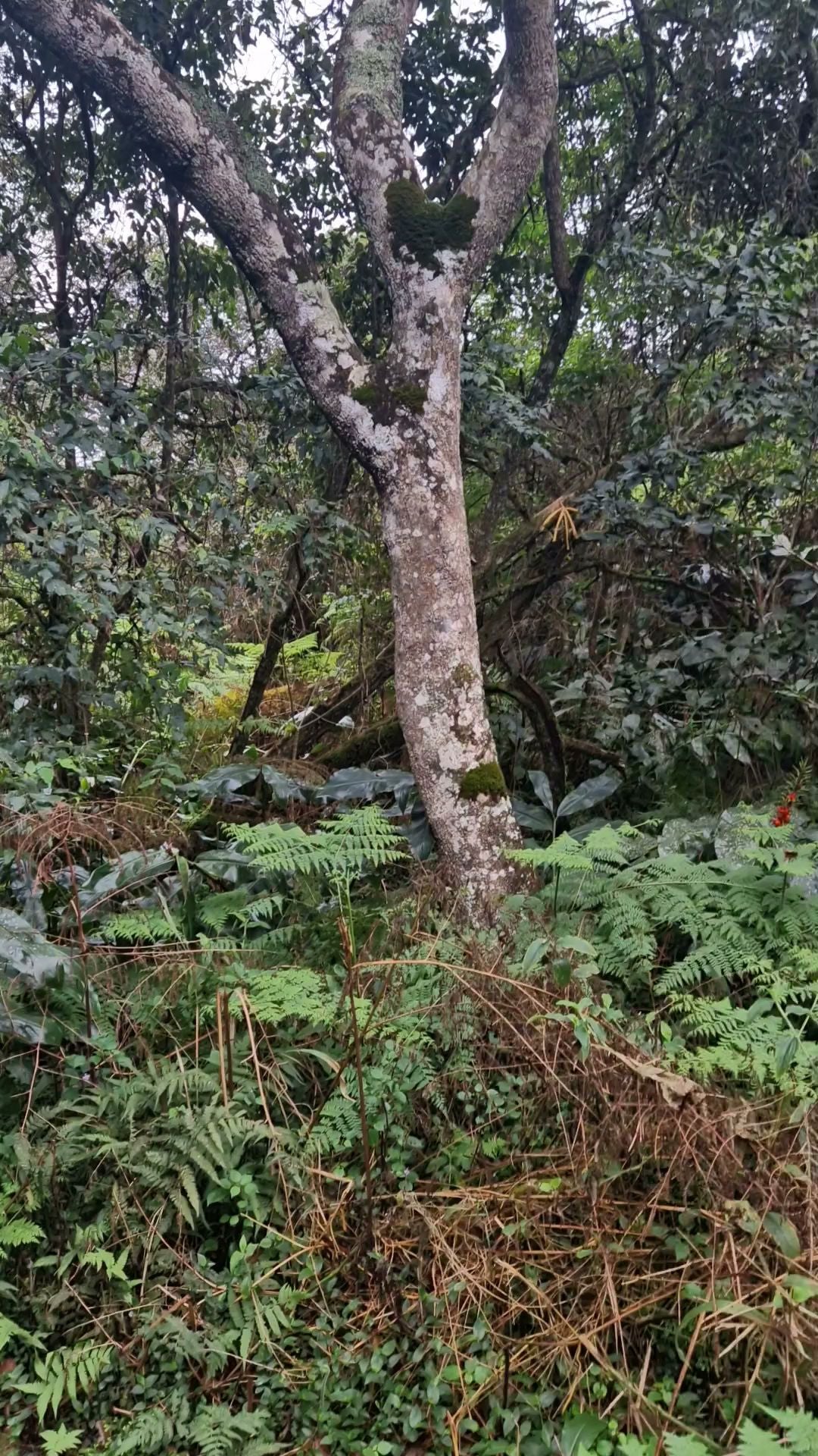  Springside Nature Reserve