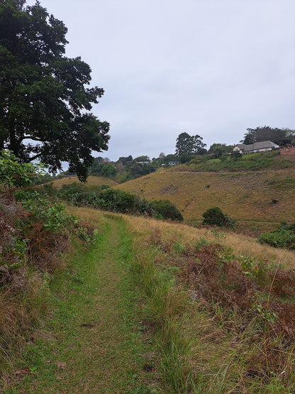  Springside Nature Reserve