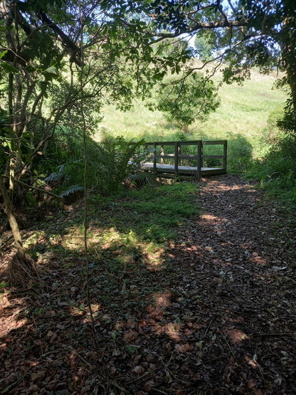  Springside Nature Reserve