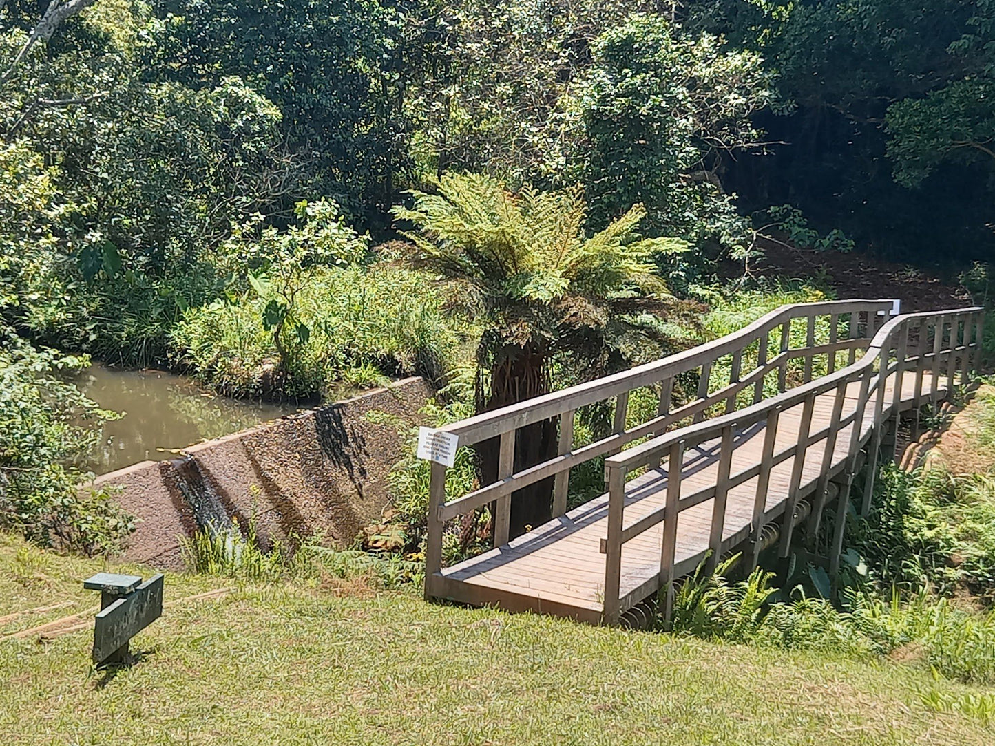  Springside Nature Reserve