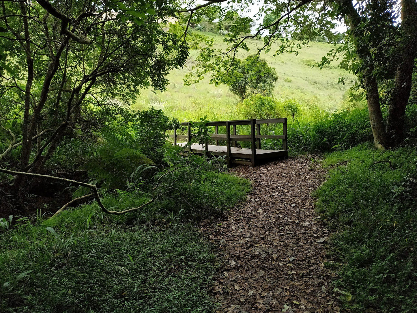  Springside Nature Reserve