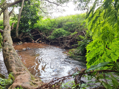  Springside Nature Reserve