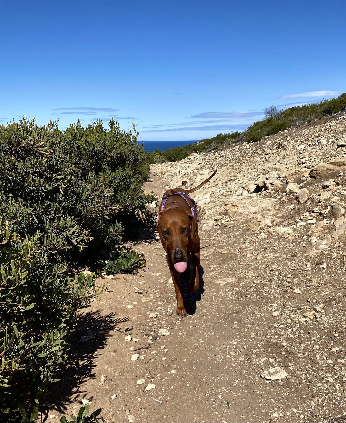 St Blaize Trail