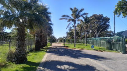  St George's Park Conservatory