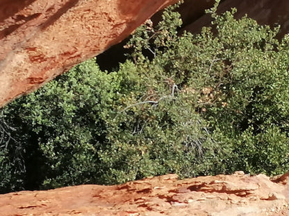  Stadsaal Caves