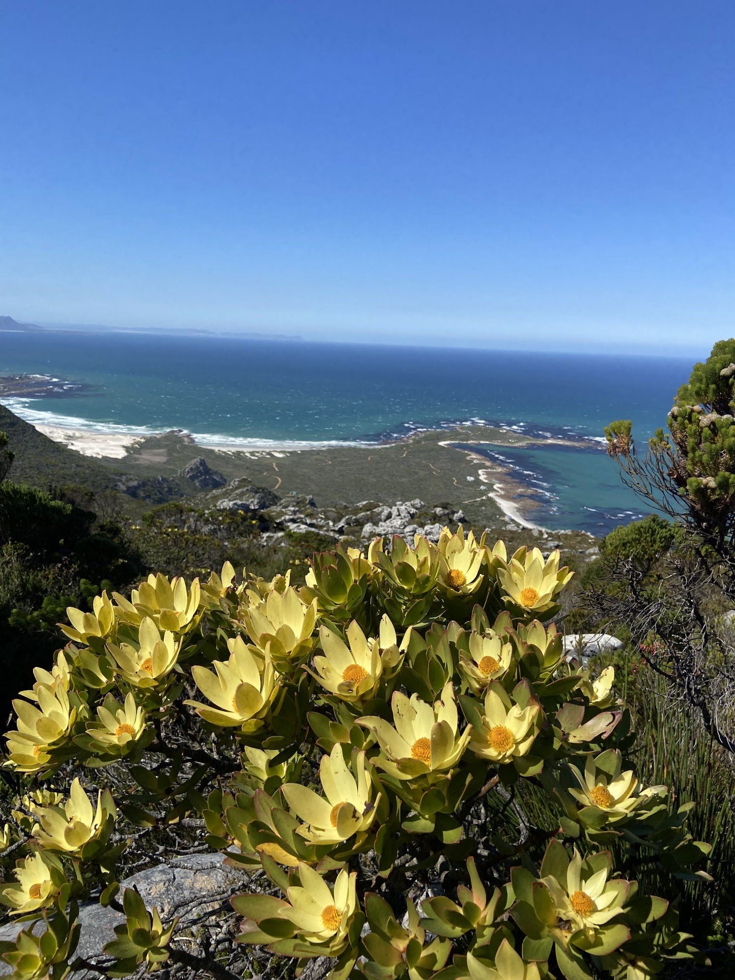 Start Of Cape Hangklip Trail