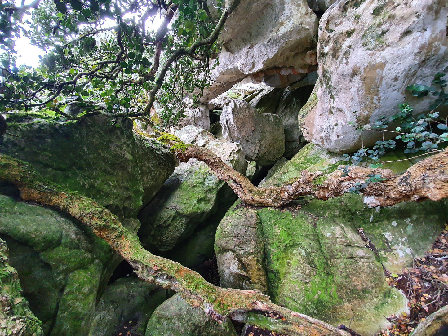 Start Of Cape Hangklip Trail