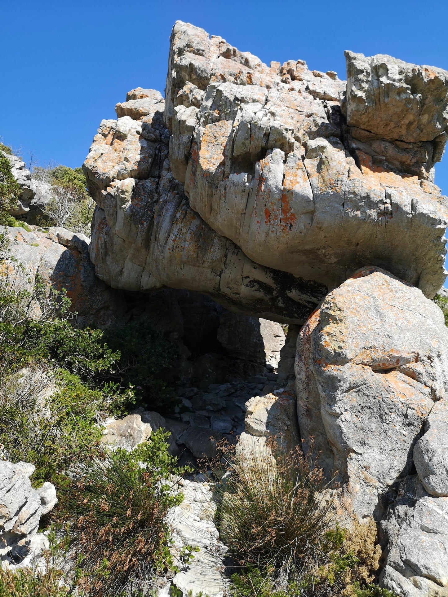 Start Of Cape Hangklip Trail