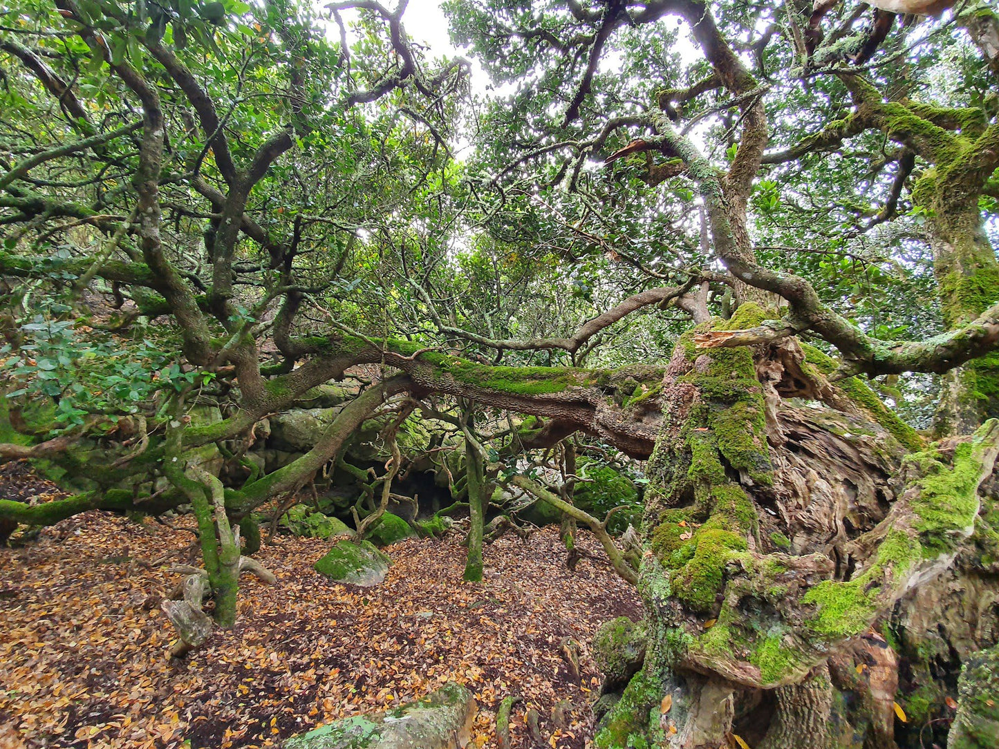 Start Of Cape Hangklip Trail