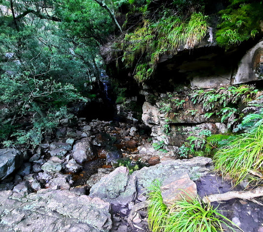 Start Waterfall Trail