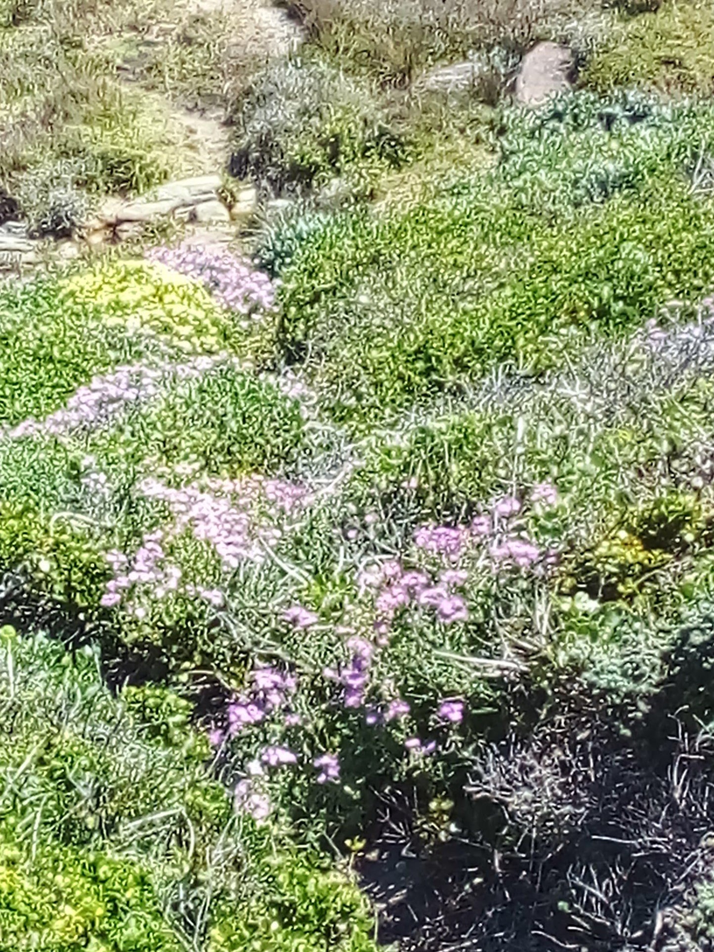  Start of Sacramento Trail