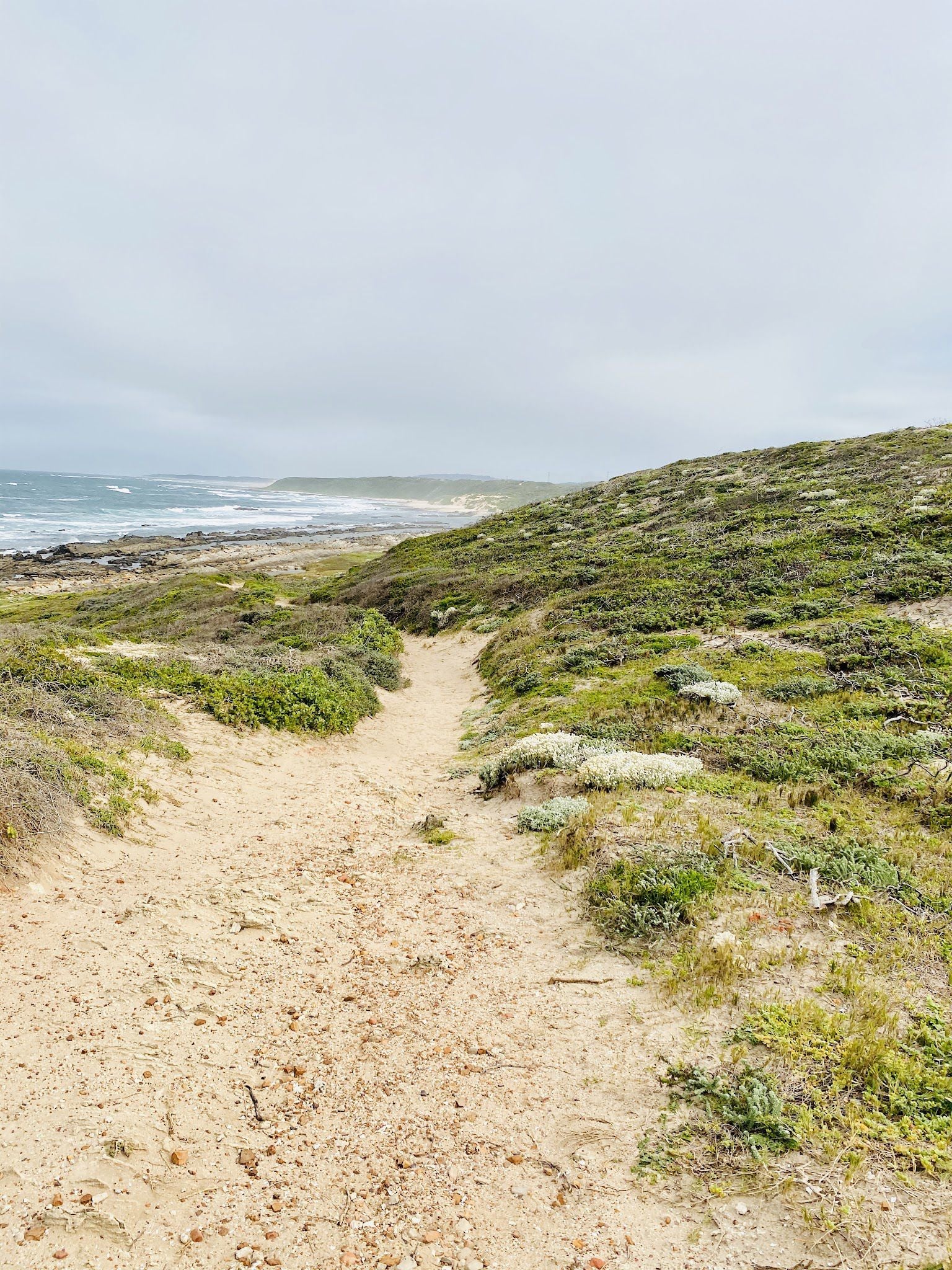  Start of Sacramento Trail