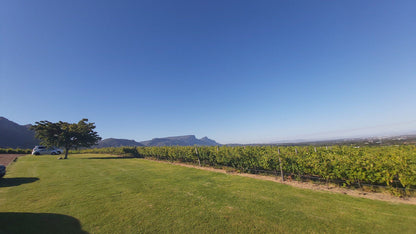  Steenberg Tasting Room