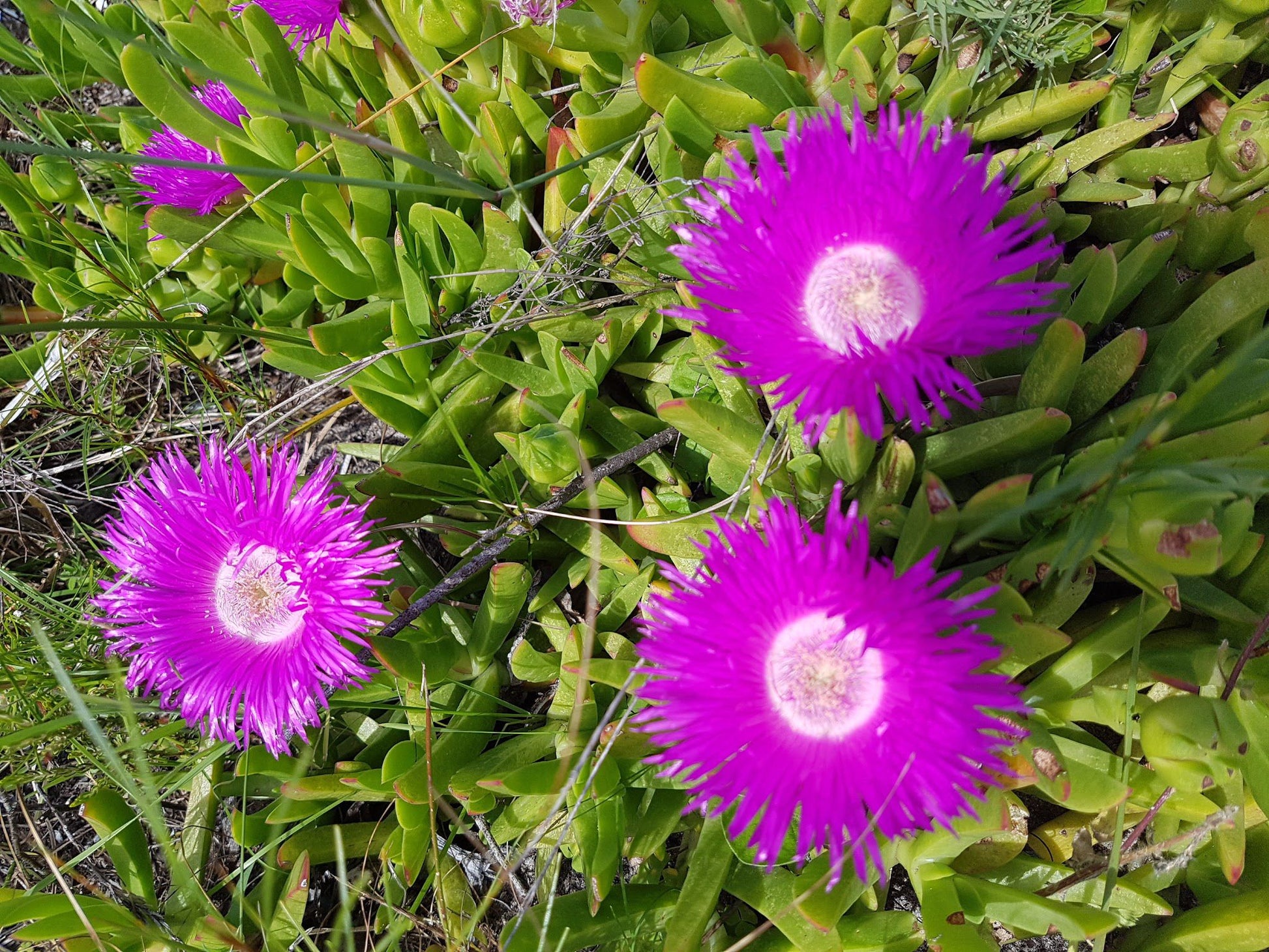  Steenbok Nature Reserve