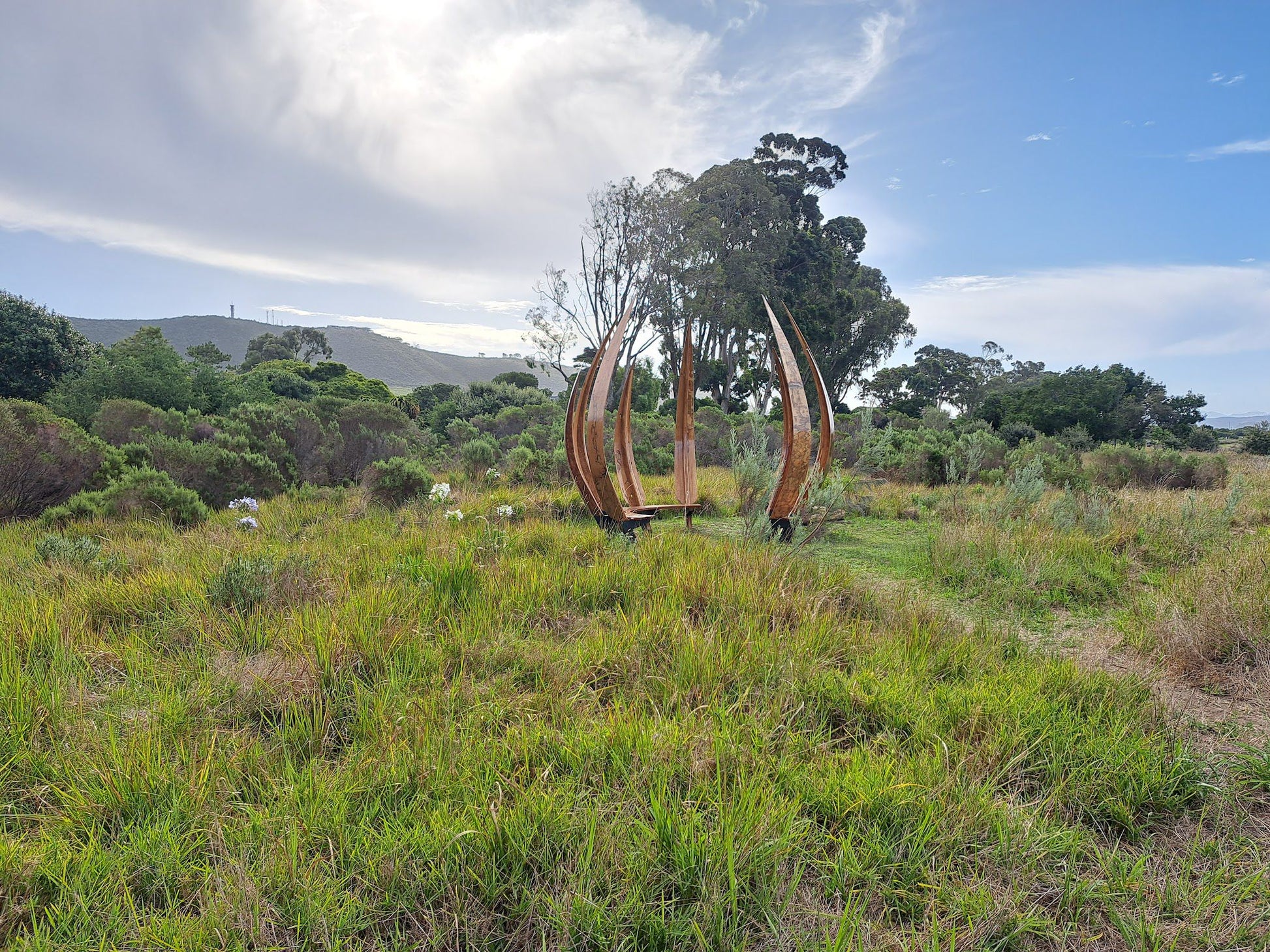  Steenbok Nature Reserve