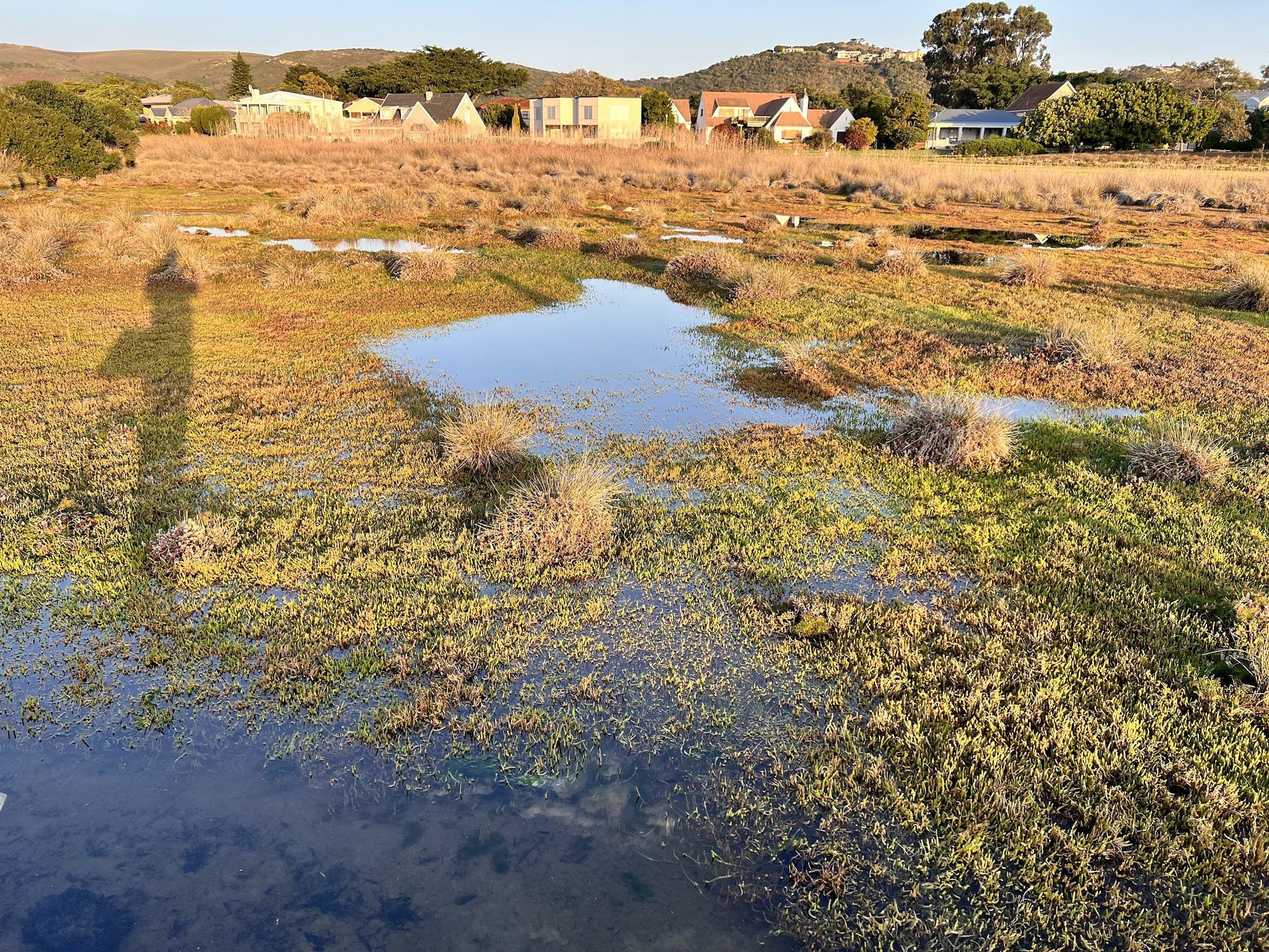  Steenbok Nature Reserve